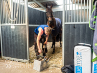 DS091023-77 - Dan Skelton stable visit